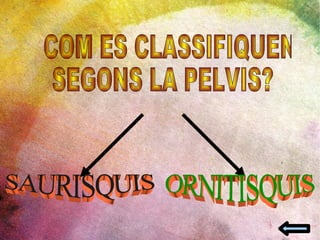 COM ES CLASSIFIQUEN  SEGONS LA PELVIS? ORNITISQUIS SAURISQUIS 
