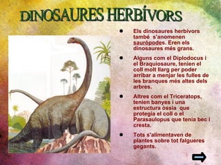 Els dinosaures herbívors també  s'anomenen  sauròpode s. Eren els dinosaures més grans.  Alguns com el Diplodocus i el Braquiosaure, tenien el coll molt llarg per poder arribar a menjar les fulles de les branques més altes dels arbres.  Altres com el Triceratops, tenien banyes i una estructura òssia  que protegia el coll o el Parasaulopus que tenia bec i cresta.  Tots s'alimentaven de plantes sobre tot falgueres gegants.  DINOSAURES HERBÍVORS 