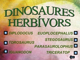 DINOSAURES  HERBÍVORS DIPLODOCUS IGUANODON EUOPLOCEPHALUS STEGOSAURUS TOROSAURUS TRICERATOP PARASAUROLOPHUS 