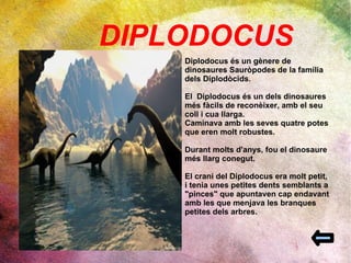 DIPLODOCUS  Diplodocus és un gènere de dinosaures Sauròpodes de la família dels Diplodòcids. El  Diplodocus és un dels dinosaures més fàcils de reconèixer, amb el seu coll i cua llarga.  Caminava amb les seves quatre potes que eren molt robustes.  Durant molts d'anys, fou el dinosaure més llarg conegut.  El crani del Diplodocus era molt petit,  i tenia unes petites dents semblants a "pinces" que apuntaven cap endavant amb les que menjava les branques petites dels arbres.  