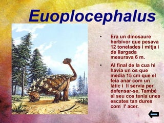 Euoplocephalus Era un dinosaure herbívor que pesava 12 tonelades i mitja i de llargada mesurava 6 m. Al final de la cua hi havia un os que media 15 cm que el feia anar com un làtic i  li servia per defensar-se. També  el seu cos tenia unes escates tan dures com  l' acer.  