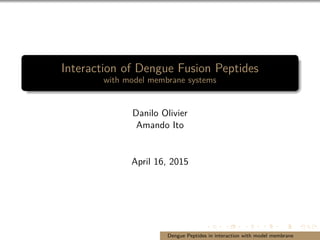 Interaction of Dengue Fusion Peptides
with model membrane systems
Danilo Olivier
Amando Ito
April 16, 2015
Danilo Olivier Amando Ito Dengue Peptides in interaction with model membrane
 