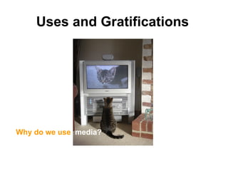 Uses and Gratifications




Why do we use media?
 