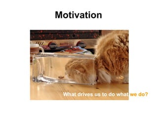 Motivation




 What drives us to do what we do?
 