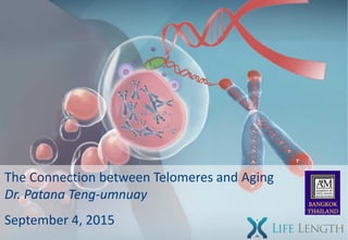 The Connection between Telomeres and Aging
Dr. Patana Teng-umnuay
September 4, 2015
 