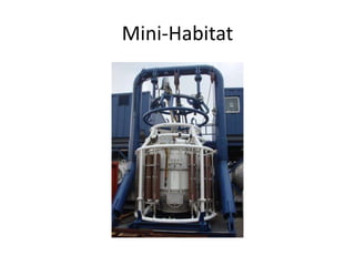 Mini-Habitat
 