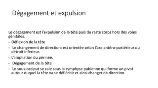 Dégagement et expulsion
Le dégagement est l’expulsion de la tête puis du reste corps hors des voies
génitales.
- Déflexion de la tête
- Le changement de direction: est orientée selon l’axe antéro-postérieur du
détroit inférieur.
- L’ampliation du périnée.
- Dégagement de la tête
- Le sous-occiput se cale sous la symphyse pubienne qui forme un pivot
autour duquel la tête va se défléchir et ainsi changer de direction.
 