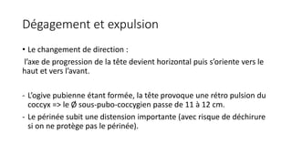 Dégagement et expulsion
• Le changement de direction :
l’axe de progression de la tête devient horizontal puis s’oriente vers le
haut et vers l’avant.
- L’ogive pubienne étant formée, la tête provoque une rétro pulsion du
coccyx => le Ø sous-pubo-coccygien passe de 11 à 12 cm.
- Le périnée subit une distension importante (avec risque de déchirure
si on ne protège pas le périnée).
 