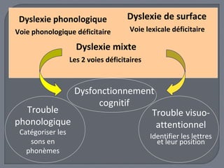 Dyslexie de surface 
Voie lexicale déficitaire 
Dyslexie phonologique 
Voie phonologique déficitaire 
Dyslexie mixte 
Les 2 voies déficitaires 
Dysfonctionnement 
cognitif 
Trouble 
phonologique 
Catégoriser les 
sons en 
phonèmes 
Trouble visuo-attentionnel 
Identifier les lettres 
et leur position 
 