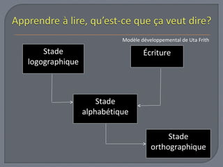 Stade 
logographique 
Modèle développemental de Uta Frith 
Écriture 
Stade 
alphabétique 
Stade 
orthographique 
 