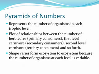 presentation_ecological_pyramids_1445500393_136286.ppt