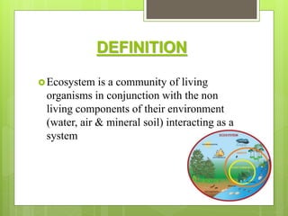 Community Definition Ecosystem ECO SYSTEM COMMUNITY HEALTH NURSING | PPTX