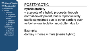 Origin of Variation
POSTZYGOTIC
I. Macroevolution
II. Species
1. Speciation
a. Anagenesis
b. cladogenesis
2. Barriers
a. prezygotic
b. post zygote
3. Modes of
Specification
a. Allopatric
b. Sympatric
4. Speciation to
Macroevolution
Macroevolution
hybrid sterility
– a zygote of a hybrid proceeds through
normal development, but is reproductively
sterile sometimes due to other barriers such
as behavioral isolation most often due to
Example:
donkey + horse = mule (sterile hybrid)
 