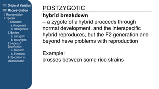 Origin of Variation
POSTZYGOTIC
I. Macroevolution
II. Species
1. Speciation
a. Anagenesis
b. cladogenesis
2. Barriers
a. prezygotic
b. post zygote
3. Modes of
Specification
a. Allopatric
b. Sympatric
4. Speciation to
Macroevolution
Macroevolution
hybrid breakdown
– a zygote of a hybrid proceeds through
normal development, and the interspecific
hybrid reproduces, but the F2 generation and
beyond have problems with reproduction
Example:
crosses between some rice strains
 