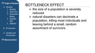 Origin of Variation
BOTTLENECK EFFECT
A. Genetics
1. Mutation
2. Gene Flow
3. Nonrandom
Mating
4. Genetics
Drift
5. Selection
B. Environment
C. Genetics and
Environment
Macroevolution
 the size of a population is severely
reduced
 natural disasters can decimate a
population, killing most individuals and
leaving behind a small, random
assortment of survivors.
 