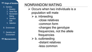 Origin of Variation
NONRANDOM MATING
A. Genetics
1. Mutation
2. Gene Flow
3. Nonrandom
Mating
4. Genetics
Drift
5. Selection
B. Environment
C. Genetics and
Environment
Macroevolution
 Occurs when two individuals is a
population will mate
 a. inbreeding
-close relatives
-common form
-changes the genotype
frequencies, not the allele
frequencies
 b. outbreeding
-distant relatives
-less common
 