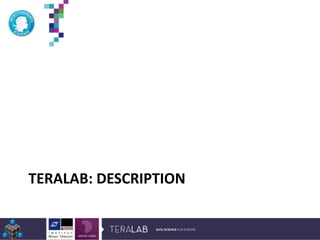 TERALAB: DESCRIPTION
*Etude Deloitte 2013
 