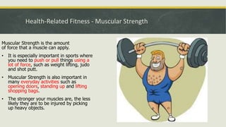 Health-Related Fitness - Muscular Strength
Muscular Strength is the amount
of force that a muscle can apply.
• It is especially important in sports where
you need to push or pull things using a
lot of force, such as weight lifting, judo
and shot putt.
• Muscular Strength is also important in
many everyday activities such as
opening doors, standing up and lifting
shopping bags.
• The stronger your muscles are, the less
likely they are to be injured by picking
up heavy objects.
 