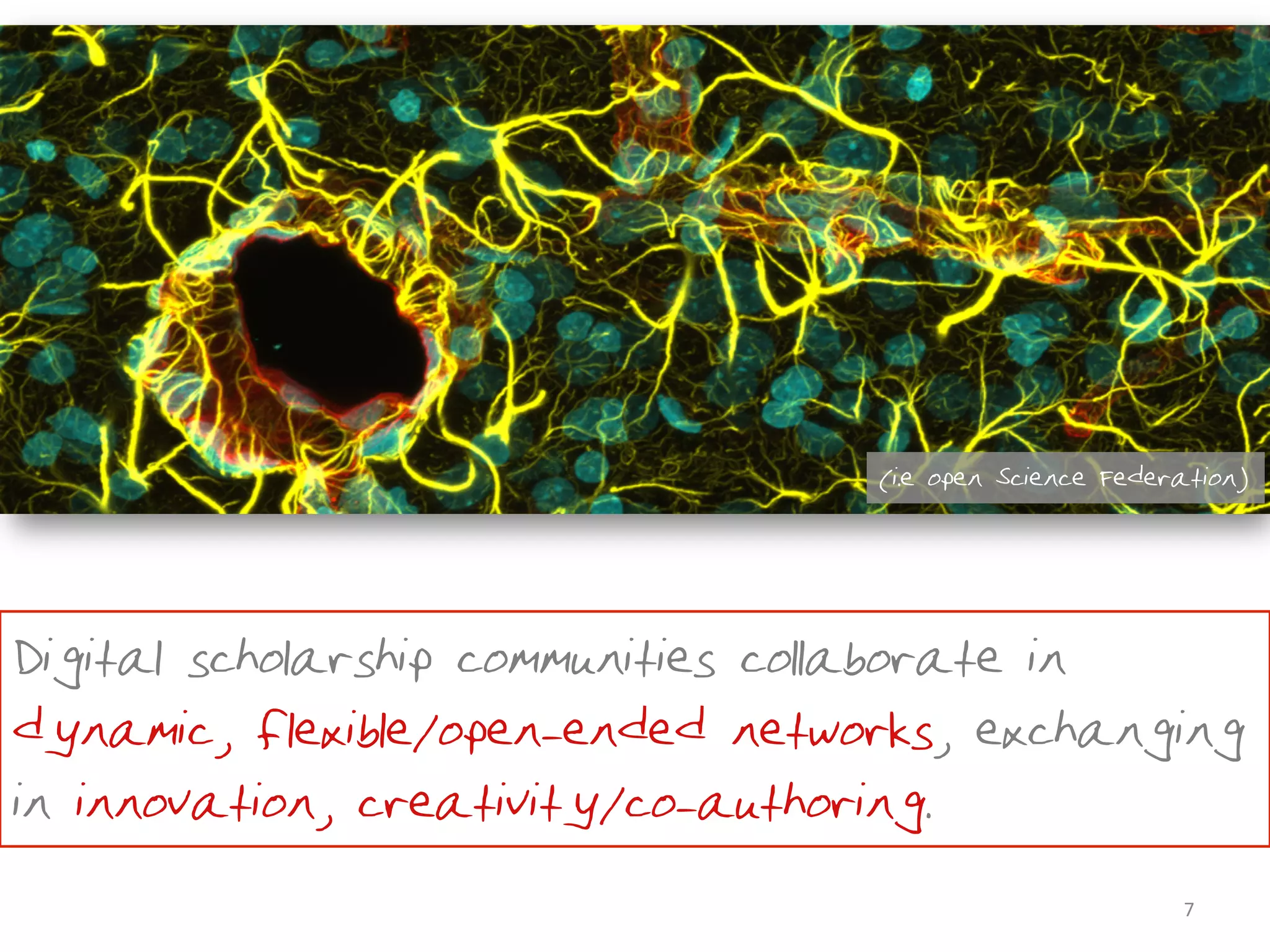 (i.e open Science Federation)




•Digital scholarship communities collaborate in
dynamic, flexible/open-ended networks, exchanging
in innovation, creativity/co-authoring.
                                                             7	
  
 