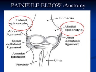 PAINFULE ELBOW :Anatomy
 