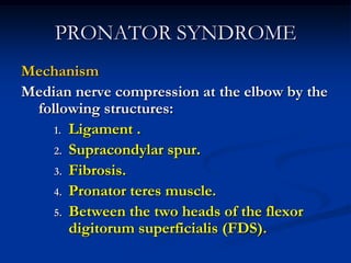 PRONATOR SYNDROME
Mechanism
Median nerve compression at the elbow by the
following structures:
1. Ligament .
2. Supracondylar spur.
3. Fibrosis.
4. Pronator teres muscle.
5. Between the two heads of the flexor
digitorum superficialis (FDS).
 
