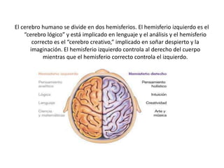 El cerebro humano se divide en dos hemisferios. El hemisferio izquierdo es el
“cerebro lógico” y está implicado en lenguaje y el análisis y el hemisferio
correcto es el “cerebro creativo,” implicado en soñar despierto y la
imaginación. El hemisferio izquierdo controla al derecho del cuerpo
mientras que el hemisferio correcto controla el izquierdo.
 