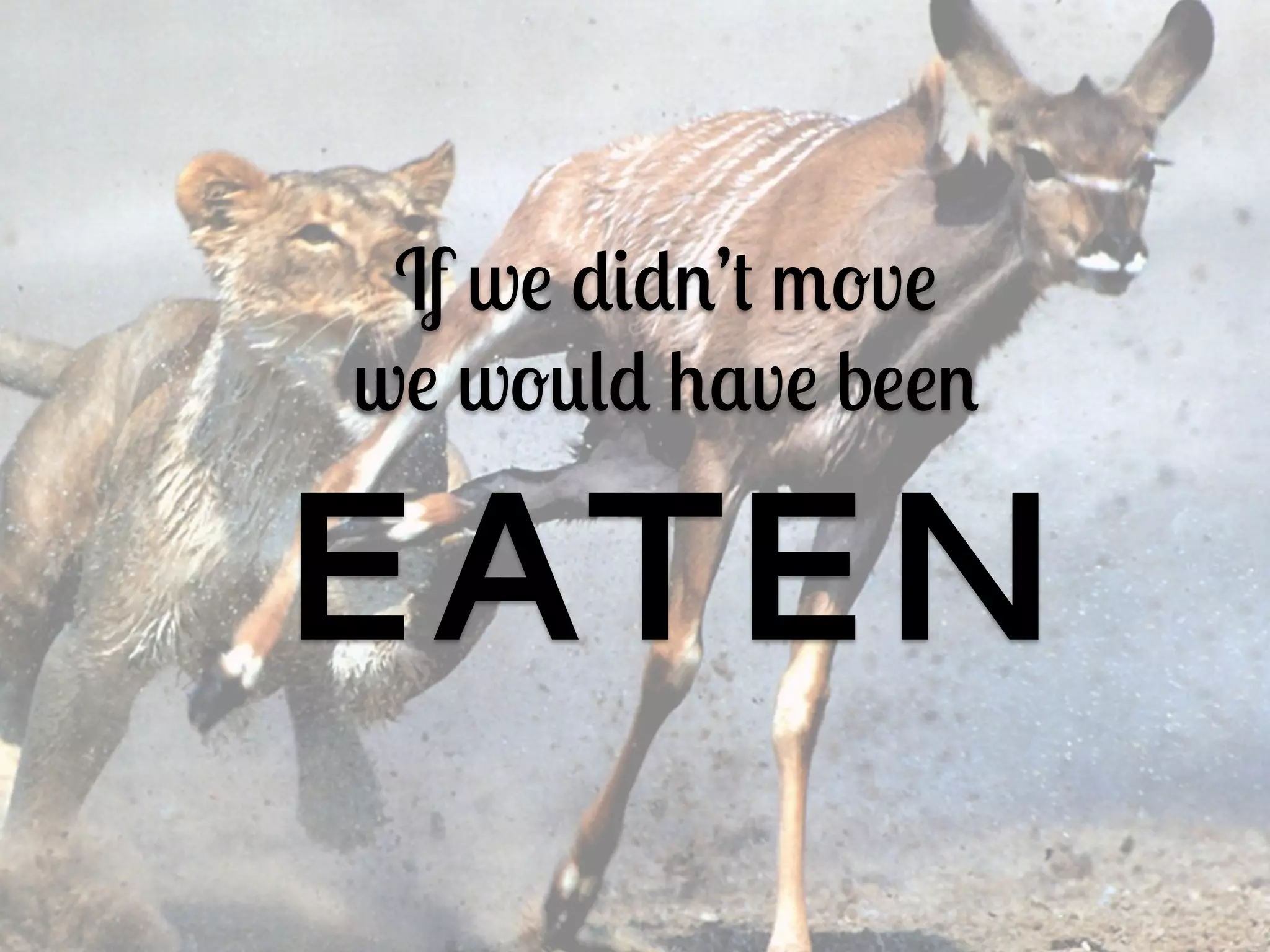 If we didn’t move
we would have been
EATEN
 