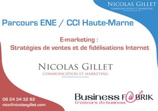 Parcours ENE / CCI Haute-Marne
E-marketing :
Stratégies de ventes et de fidélisations Internet

06 24 34 32 82
nico@nicolasgillet.com

 