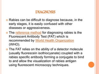 Fat Rabies Test Bites and Stings emergency medicine | PPTX