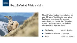 ◼ Availability June - October
◼ Number of persons on request
◼ Price CHF 259.-/person
Ibex Safari at Pilatus Kulm
Mount Pilatus has been home to ibex for
over 50 years. Watching the colony is a
fascinating experience. On selected
dates, learn more about the Pilatus ibex
colony from local experts – and about
the mountain’s flora and fauna.
 