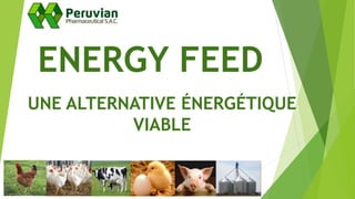 ENERGY FEED
UNE ALTERNATIVE ÉNERGÉTIQUE
VIABLE
 