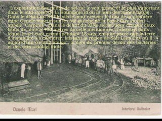 • . L'exploitation des mines de sel est le seul grand et le plus important
  dans le sud-ouest de la Roumanie (d'où le nom des mines Large).
  Dans le début du XVIIIe siècle pour creuser le trou de la première
  mine Ocnele majeur sur le côté gauche de la Sarat flux au lieu
  appelé "Carpinis". Dans le début du XIXe siècle, pour creuser deux
  trous de mine à 400 mètres de celle mentionnée ci-dessus, dans
  lequel le sel était extrait pendant 15 ans, ensuite parce que la terre
  d'instabilité à s'effondrer, laissant la région de Salt Lake City où il
  aujourd'hui «l'étang Rouge", le nom du premier devoir des bactéries
  et des vers iodofagi foule.
 