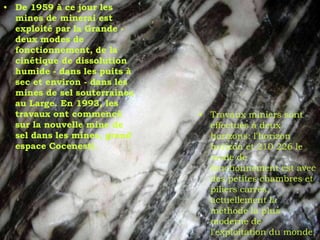 • De 1959 à ce jour les
  mines de minerai est
  exploité par la Grande -
  deux modes de
  fonctionnement, de la
  cinétique de dissolution
  humide - dans les puits à
  sec et environ - dans les
  mines de sel souterraines
  au Large. En 1993, les
  travaux ont commencé        • Travaux miniers sont
  sur la nouvelle mine de       effectués à deux
  sel dans les mines, grand     horizons: l'horizon
  espace Cocenesti.             horizon et 210 226 le
                                mode de
                                fonctionnement est avec
                                des petites chambres et
                                piliers carrés,
                                actuellement la
                                méthode la plus
                                moderne de
                                l'exploitation du monde.
 