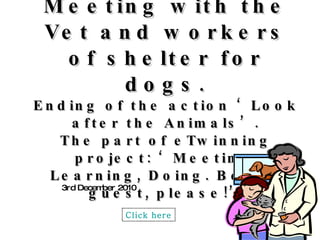 Meeting with the Vet and workers of shelter for dogs. Ending of the action ‘Look after the Animals’. The part of eTwinning project: ‘Meeting, Learning, Doing. Be our guest, please!’ 3rd December 2010 Click here 