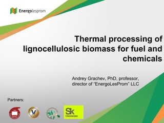 Thermal processing of
        lignocellulosic biomass for fuel and
                                 chemicals

                    Andrey Grachev, PhD, professor,
                    director of “EnergoLesProm” LLC


Partners:
 