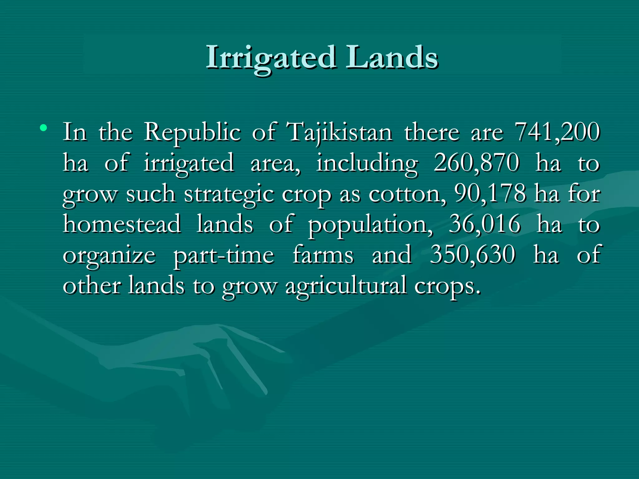• In the Republic of Tajikistan there are 741,200In the Republic of Tajikistan there are 741,200
ha of irrigated area, including 260,870 ha toha of irrigated area, including 260,870 ha to
grow such strategic crop as cotton, 90,178 ha forgrow such strategic crop as cotton, 90,178 ha for
homestead lands of population, 36,016 ha tohomestead lands of population, 36,016 ha to
organize part-time farms and 350,630 ha oforganize part-time farms and 350,630 ha of
other lands to grow agricultural cropsother lands to grow agricultural crops..
Irrigated LandsIrrigated Lands
 