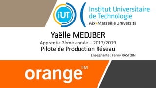 Yaëlle MEDJBER
Apprentie 2ème année – 2017/2019
Pilote de Production Réseau
Enseignante : Fanny RASTOIN
 
