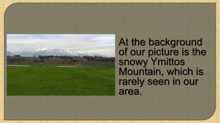 7
At the background
of our picture is the
snowy Ymittos
Mountain, which is
rarely seen in our
area.
 