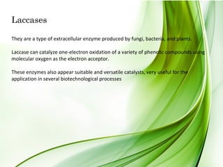 Laccases
They are a type of extracellular enzyme produced by fungi, bacteria, and plants. 
Laccase can catalyze one-electron oxidation of a variety of phenolic compounds using 
molecular oxygen as the electron acceptor.
These enzymes also appear suitable and versatile catalysts, very useful for the 
application in several biotechnological processes
 
