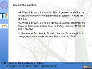 Bibliografia sintetica: G. West, J. Brown, B. Enquist(1999). A general model for the structure andallometry of plant vascular systems. Nature 400, 664–667