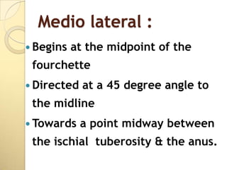 Medio lateral :
 Begins   at the midpoint of the
 fourchette
 Directed   at a 45 degree angle to
 the midline
 Towards    a point midway between
 the ischial tuberosity & the anus.
 