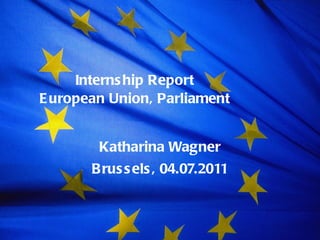 Internship Report European Union, Parliament Katharina Wagner Brussels, 04.07.2011 