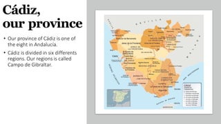 Cádiz,
our province
• Our province of Cádiz is one of
the eight in Andalucía.
• Cádiz is divided in six differents
regions. Our regions is called
Campo de Gibraltar.
 