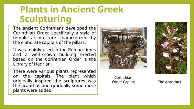 Presentation Erasmus Presentation Erasmus Ppt