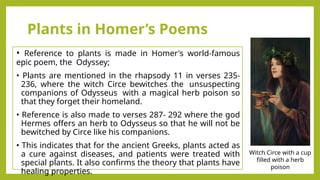 Plants in Homer’s Poems
• Reference to plants is made in Homer's world-famous
epic poem, the Odyssey;
• Plants are mentioned in the rhapsody 11 in verses 235-
236, where the witch Circe bewitches the unsuspecting
companions of Odysseus with a magical herb poison so
that they forget their homeland.
• Reference is also made to verses 287- 292 where the god
Hermes offers an herb to Odysseus so that he will not be
bewitched by Circe like his companions.
• This indicates that for the ancient Greeks, plants acted as
a cure against diseases, and patients were treated with
special plants. It also confirms the theory that plants have
healing properties.
Witch Circe with a cup
filled with a herb
poison
 