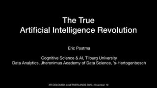 The True

Arti
fi
cial Intelligence Revolution


Eric Postma

Cognitive Science & AI, Tilburg University

Data Analytics, Jheronimus Academy of Data Science, ’s-Hertogenbosch
XR COLOMBIA & NETHERLANDS 2020, November 19
 