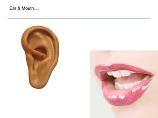 Ear & Mouth....
 