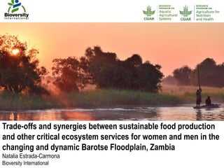 Trade-offs and synergies between sustainable food production
and other critical ecosystem services for women and men in the
changing and dynamic Barotse Floodplain, Zambia
Natalia Estrada-Carmona
Bioversity International
Photo:KrishnasisGhosh
 