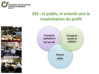 ESS : ni public, ni orienté vers la
     maximisation du profit
 