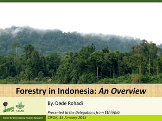 Forestry in Indonesia: An Overview
Presented to the Delegations from Ethiopia
CIFOR, 15 January 2015
By. Dede Rohadi
 